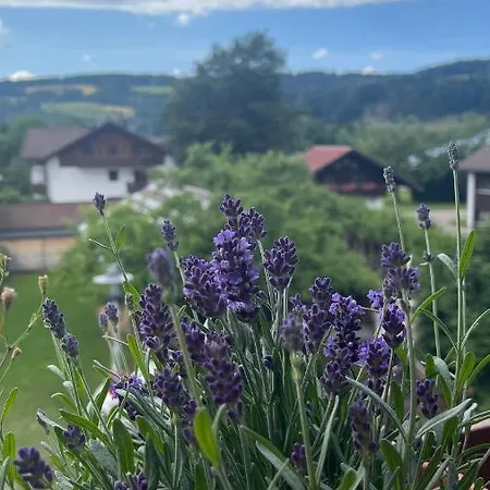 Alpseeliebe Apartment